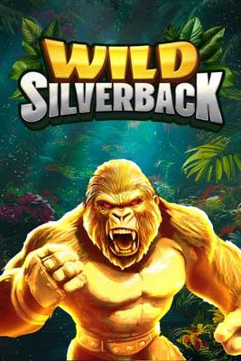 Wild Silverback